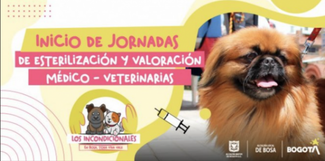 Estas son las jornadas de esterilización y valoración veterinaria en Bosa, durante el mes de marzo