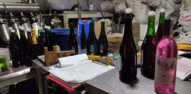 Más de 10 mil bebidas no aptas para el consumo humanos fueron decomisadas en Bosa