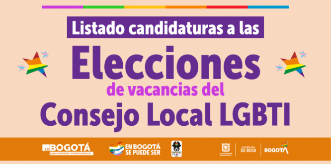 Listado de candidaturas a las elecciones de vacancias del Consejo Local LGBTI