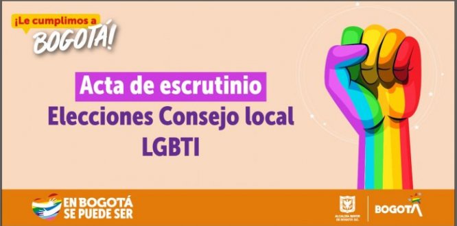 Acta de escrutinio - Elecciones Consejo local LGBTI