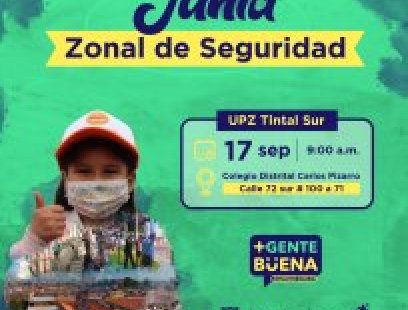 Junta Zonal UPZ 87 Tintal Sur