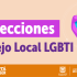 Proceso eleccionario Consejo Local LGBTI